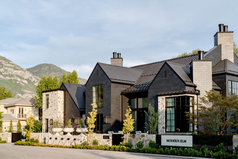 Modern Elm