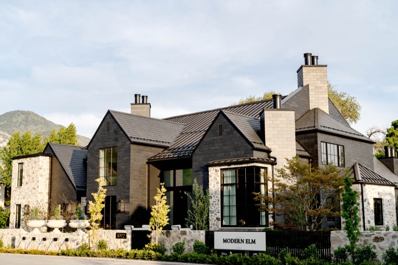 Modern Elm